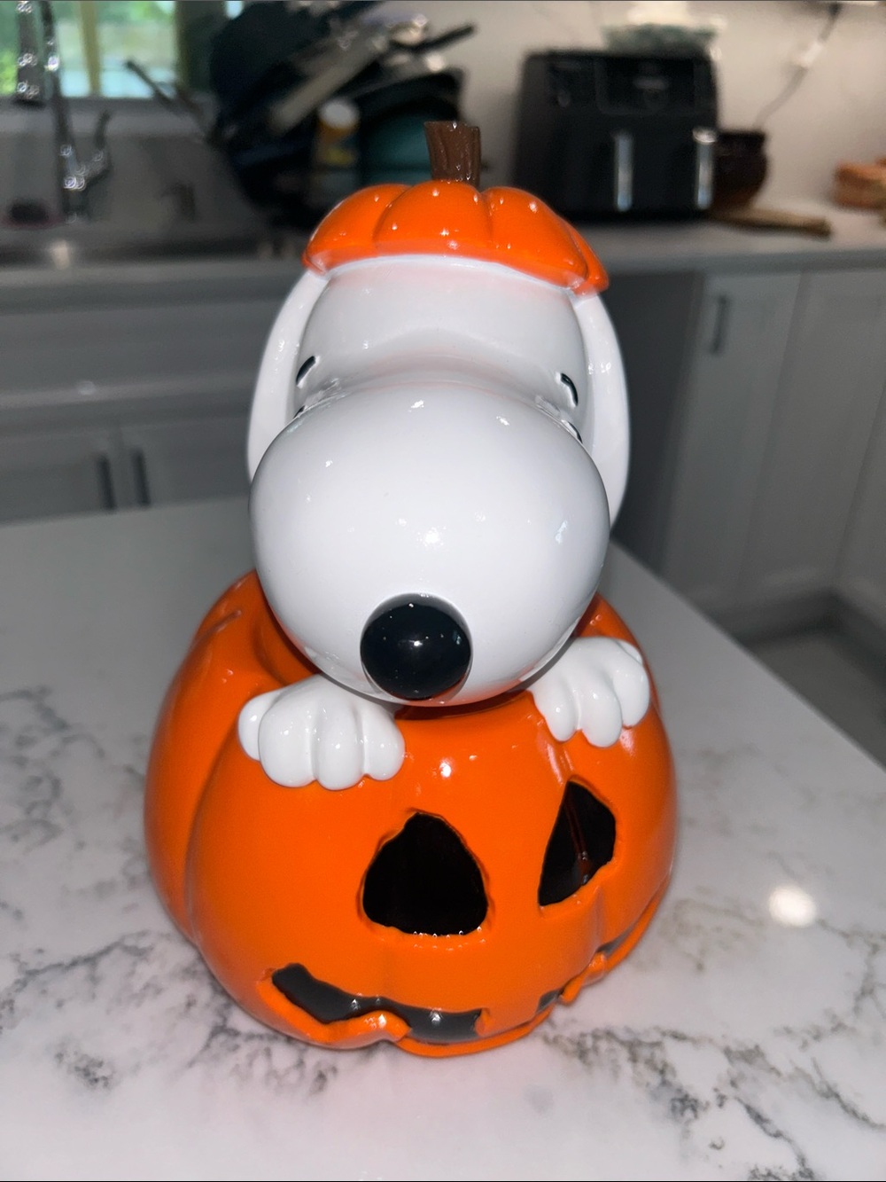 Peanuts Snoopy Halloween Pumpkin Decor